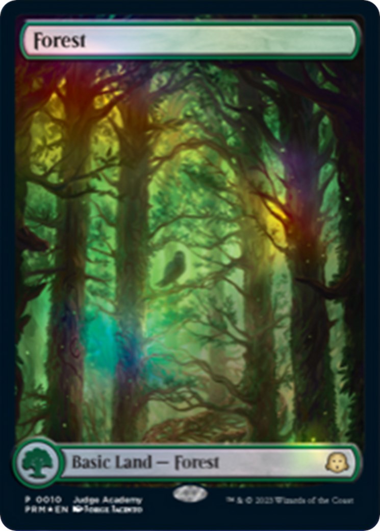 Forest [Judge Gift Cards 2023] | Galaxy Games LLC