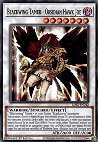 Blackwing Tamer - Obsidian Hawk Joe [LDS2-EN042] Common | Galaxy Games LLC