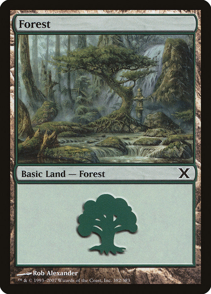 Forest (382) [Tenth Edition] | Galaxy Games LLC