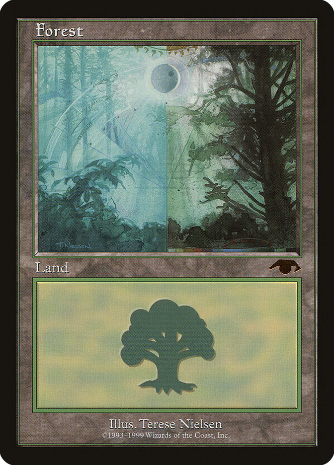 Forest (5) [Guru] | Galaxy Games LLC
