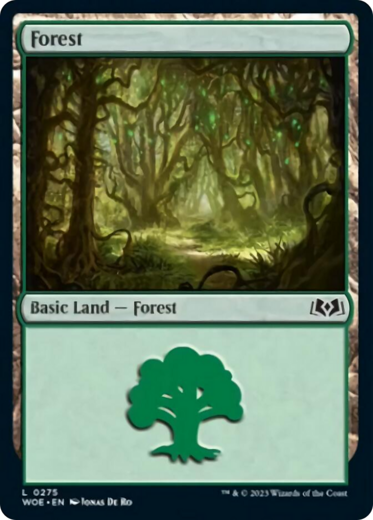 Forest (0275) [Wilds of Eldraine] | Galaxy Games LLC