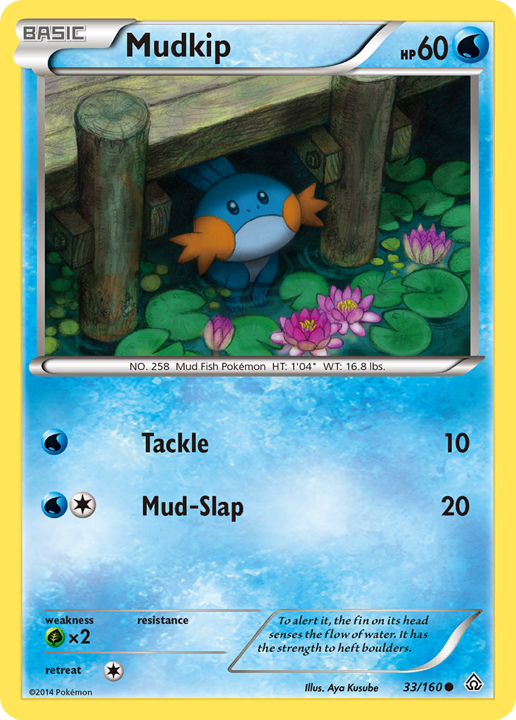 Mudkip (33/160) [XY: Primal Clash] | Galaxy Games LLC