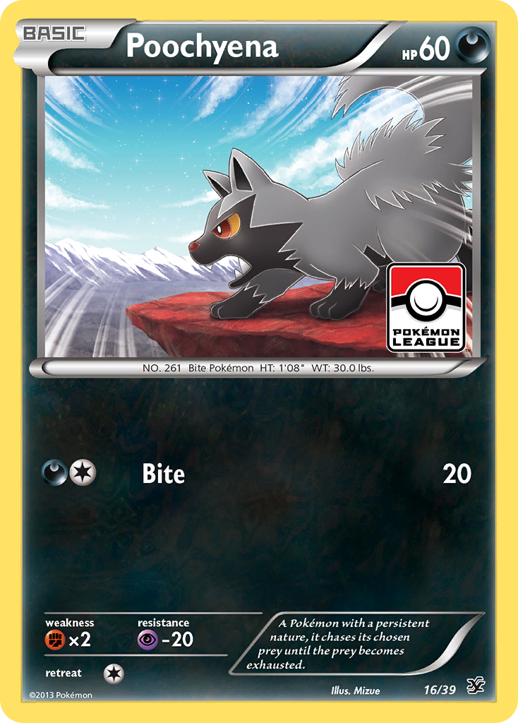 Poochyena (16/39) [XY: Kalos Starter Set] | Galaxy Games LLC