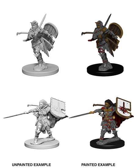 Pathfinder Deep Cuts Unpainted Minis: Human Female Paladin | Galaxy Games LLC