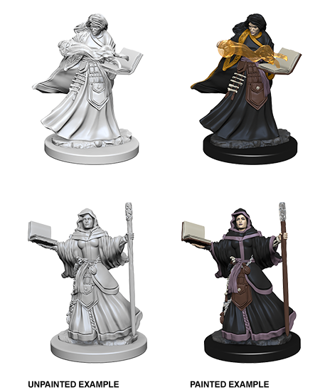 D&D Nolzur's Marvelous Miniatures: Human Wizard | Galaxy Games LLC