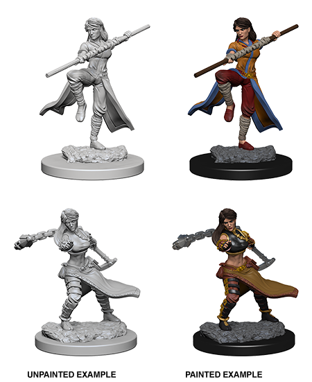 D&D Nolzur's Marvelous Miniatures: Human Monk | Galaxy Games LLC