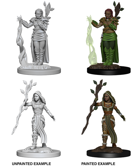 D&D Nolzur's Marvelous Miniatures: Human Druid | Galaxy Games LLC