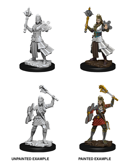 D&D Nolzur's Marvelous Miniatures: Human Cleric | Galaxy Games LLC