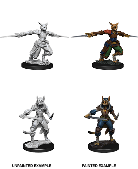 D&D Nolzur's Marvelous Miniatures: Tabaxi Rogue | Galaxy Games LLC