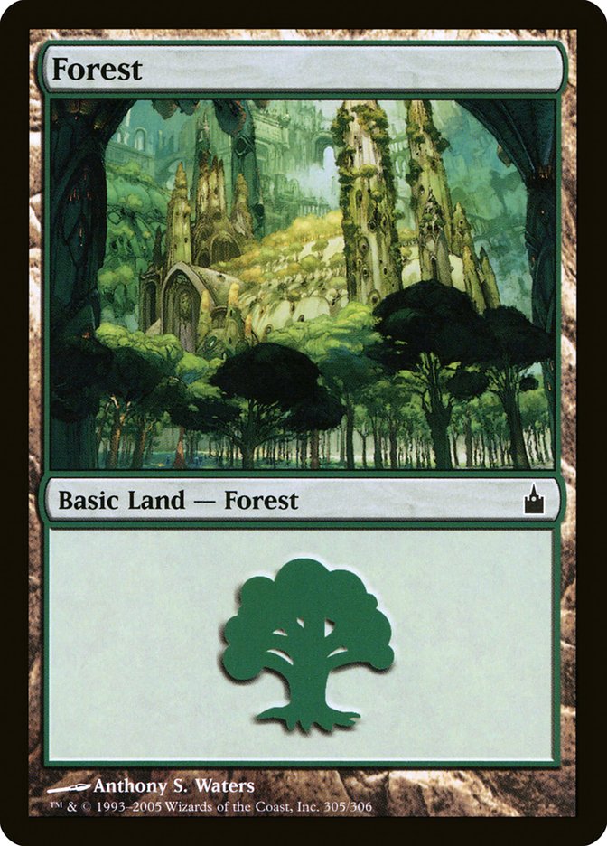 Forest (305) [Ravnica: City of Guilds] | Galaxy Games LLC