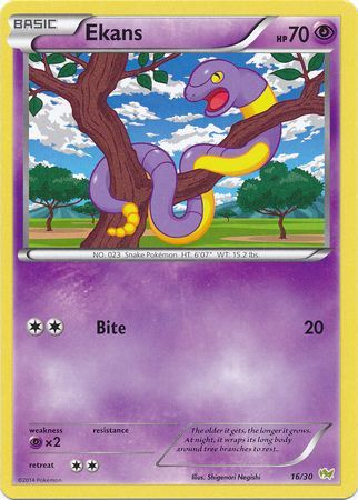 Ekans (16/30) [XY: Trainer Kit - Noivern] | Galaxy Games LLC