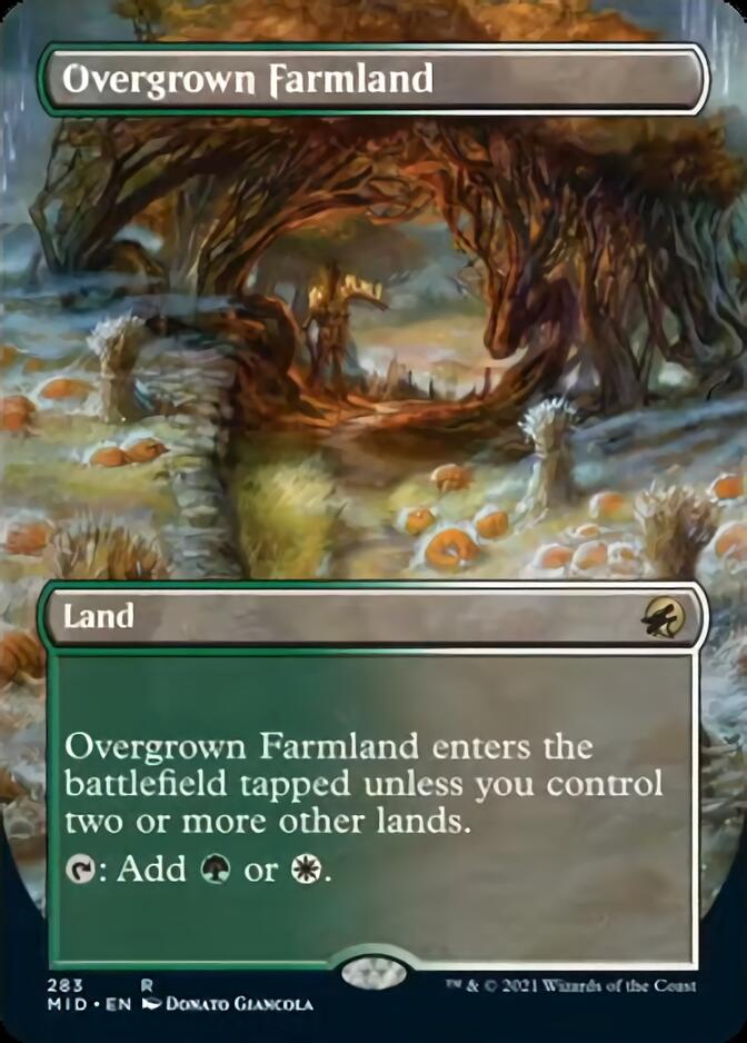 Overgrown Farmland (Borderless Alternate Art) [Innistrad: Midnight Hunt] | Galaxy Games LLC