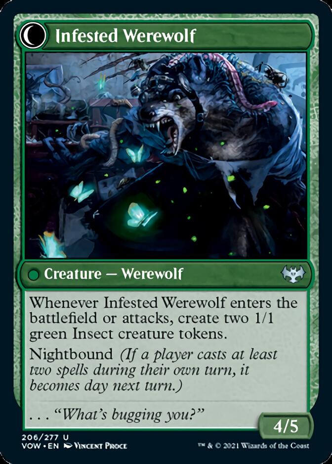 Infestation Expert // Infested Werewolf [Innistrad: Crimson Vow] | Galaxy Games LLC