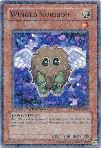 Winged Kuriboh [DT01-EN008] Common | Galaxy Games LLC