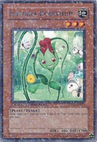 Naturia Rosewhip [DT02-EN071] Rare | Galaxy Games LLC