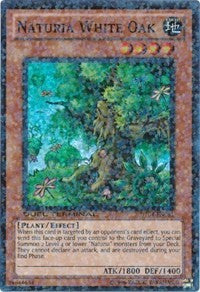 Naturia White Oak [DT04-EN081] Super Rare | Galaxy Games LLC