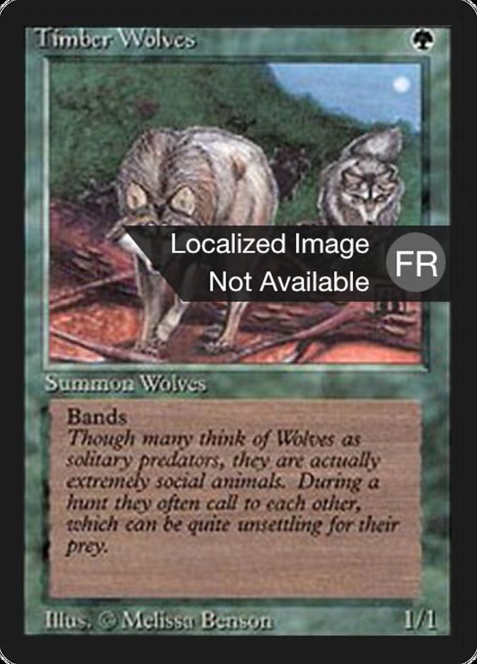 Timber Wolves [Foreign Black Border] | Galaxy Games LLC