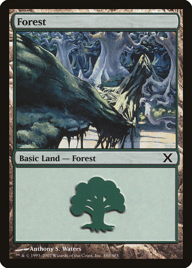 Forest (380) [Tenth Edition] | Galaxy Games LLC