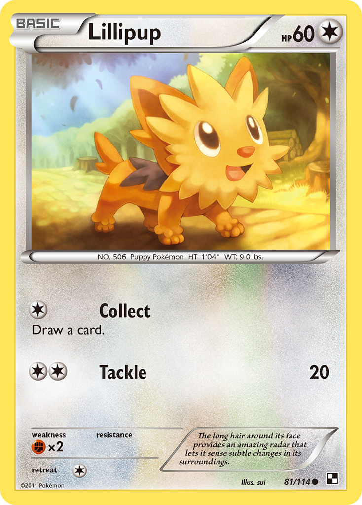 Lillipup (81/114) [Black & White: Base Set] | Galaxy Games LLC