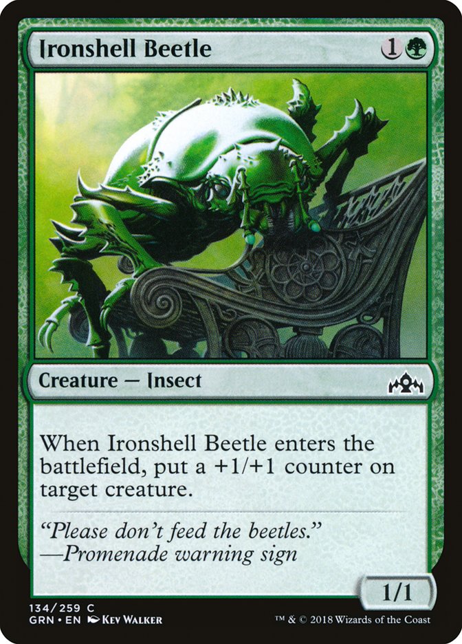 Ironshell Beetle [Guilds of Ravnica] | Galaxy Games LLC