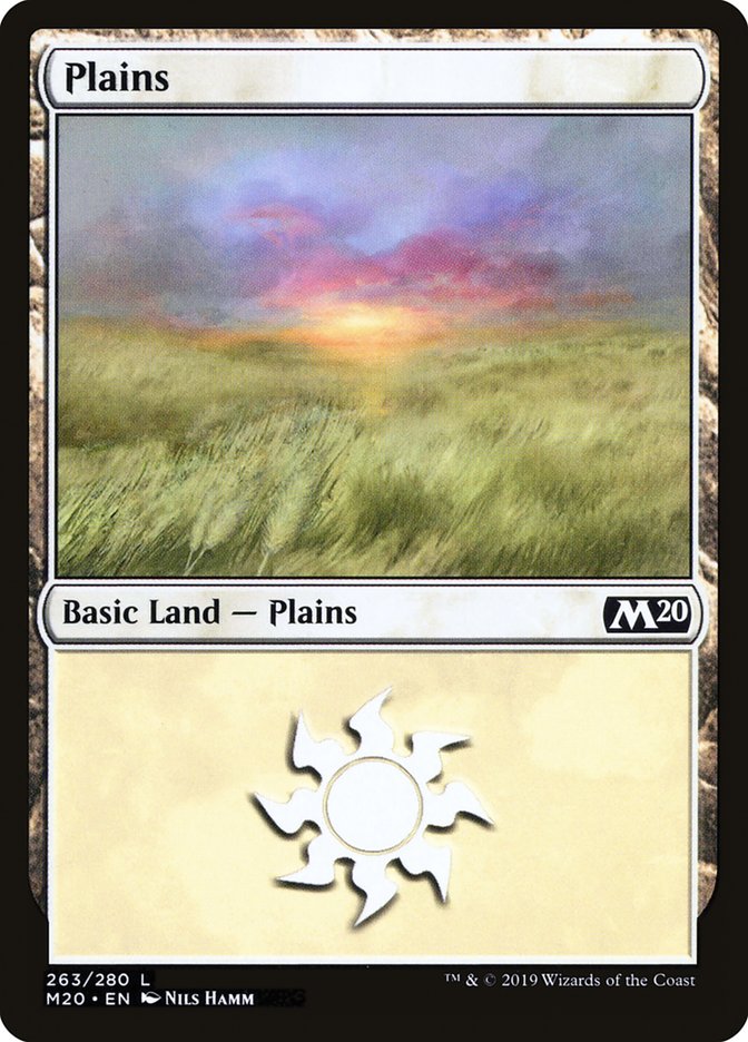 Plains (263) [Core Set 2020] | Galaxy Games LLC