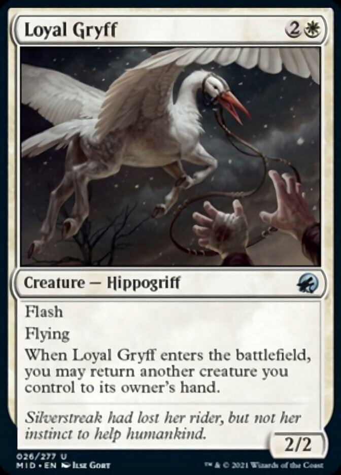 Loyal Gryff [Innistrad: Midnight Hunt] | Galaxy Games LLC