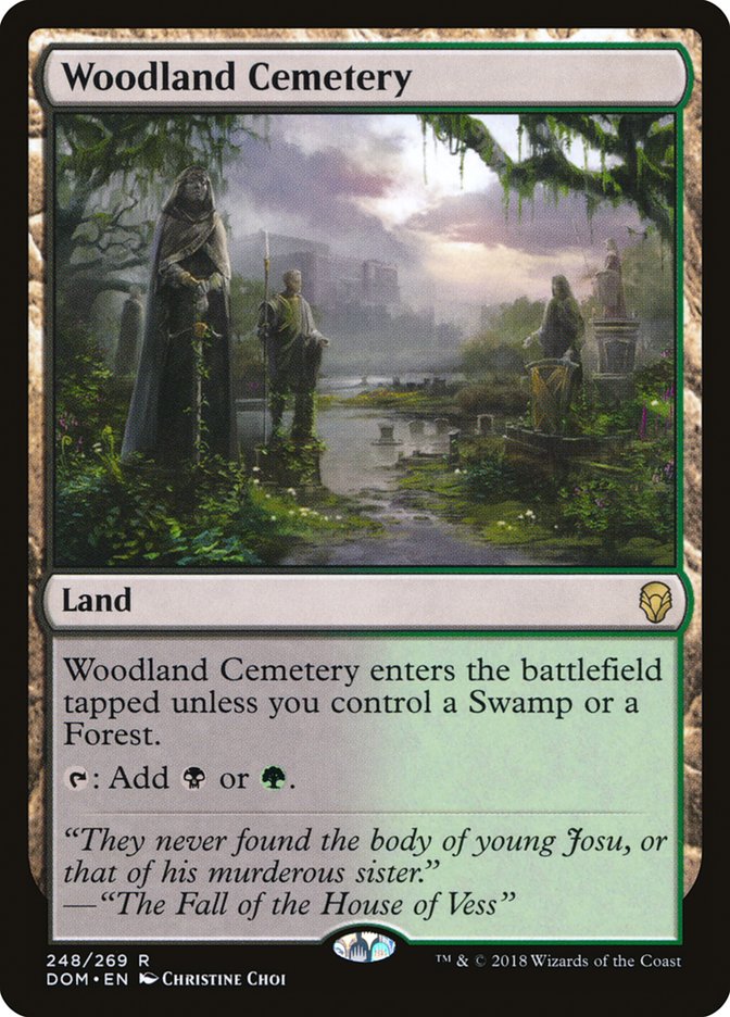 Woodland Cemetery [Dominaria] | Galaxy Games LLC