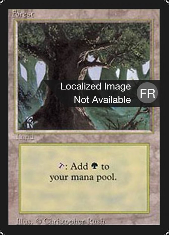 Forest (A) [Foreign Black Border] | Galaxy Games LLC