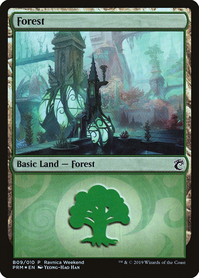 Forest (B09) [Ravnica Allegiance Guild Kit] | Galaxy Games LLC