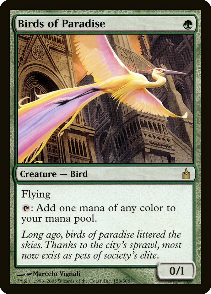 Birds of Paradise [Ravnica: City of Guilds] | Galaxy Games LLC