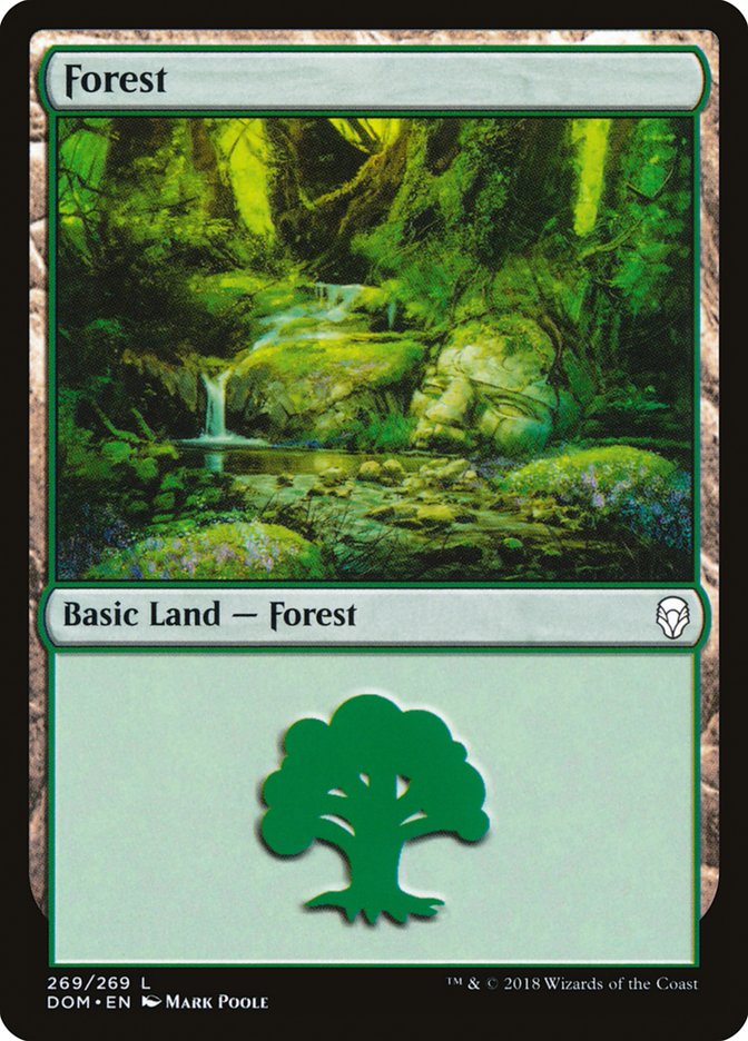 Forest (269) [Dominaria] | Galaxy Games LLC