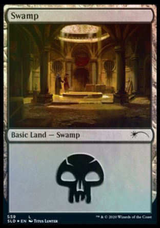 Swamp (Rogues) (559) [Secret Lair Drop Promos] | Galaxy Games LLC