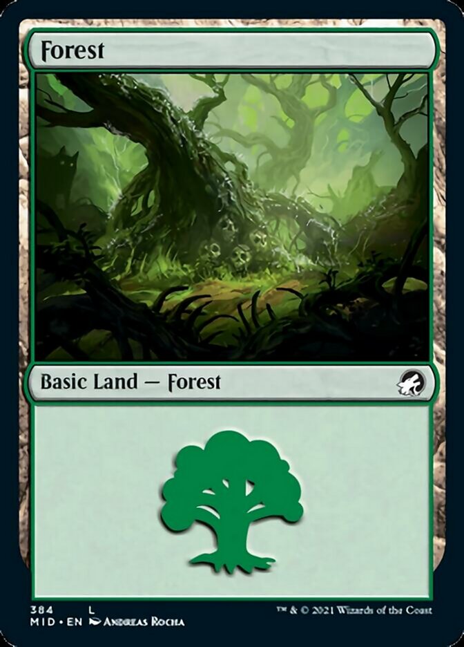 Forest (384) [Innistrad: Midnight Hunt] | Galaxy Games LLC