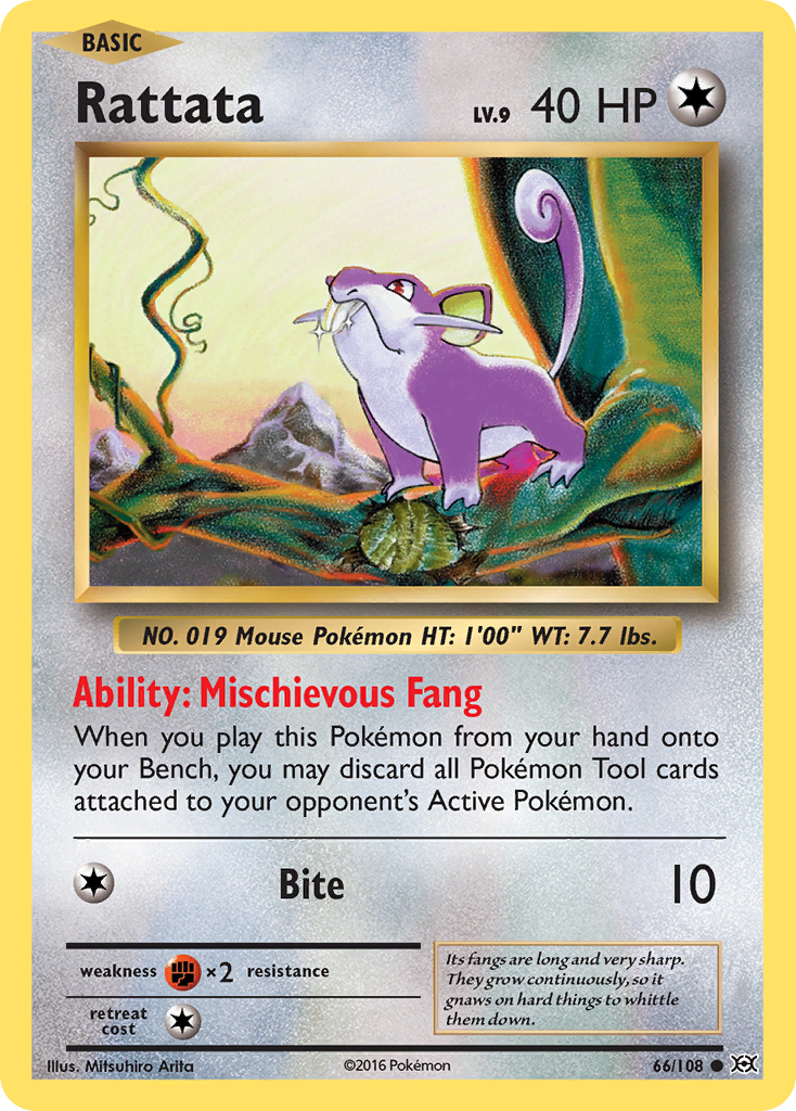 Rattata (66/108) [XY: Evolutions] | Galaxy Games LLC