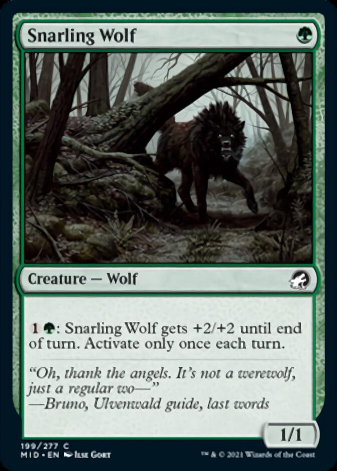 Snarling Wolf [Innistrad: Midnight Hunt] | Galaxy Games LLC