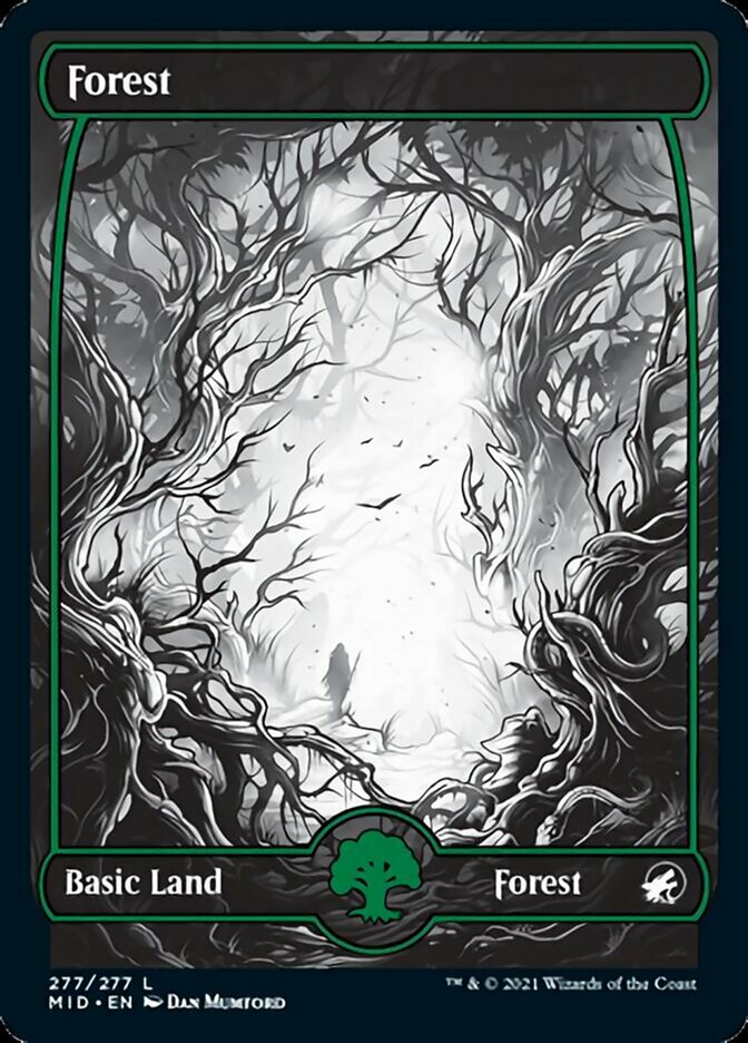 Forest (277) [Innistrad: Midnight Hunt] | Galaxy Games LLC