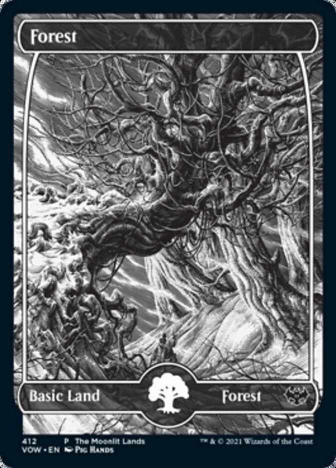 Forest (The Moonlit Lands) (Foil Etched) [Innistrad: Crimson Vow Promos] | Galaxy Games LLC