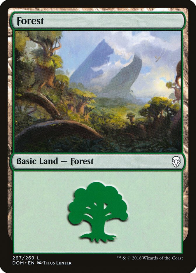 Forest (267) [Dominaria] | Galaxy Games LLC