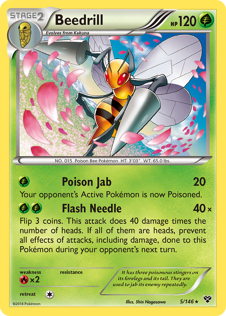 Beedrill (5/146) [XY: Base Set] | Galaxy Games LLC