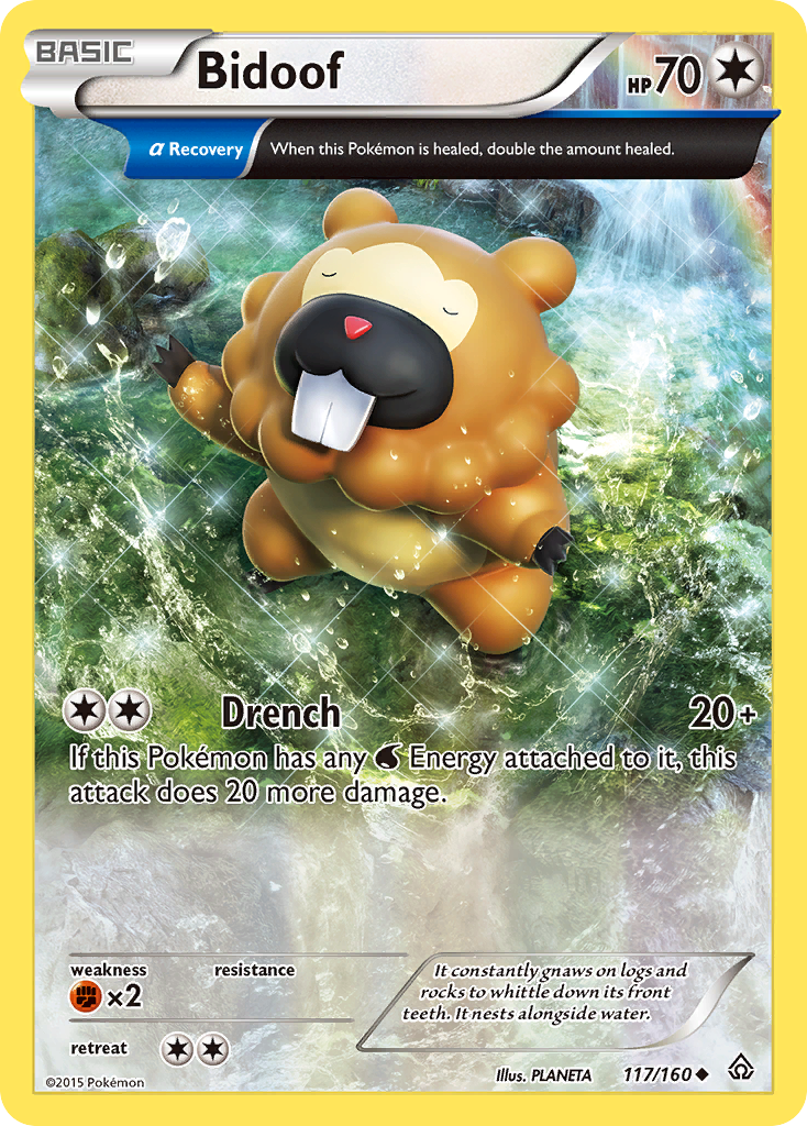 Bidoof (117/160) [XY: Primal Clash] | Galaxy Games LLC