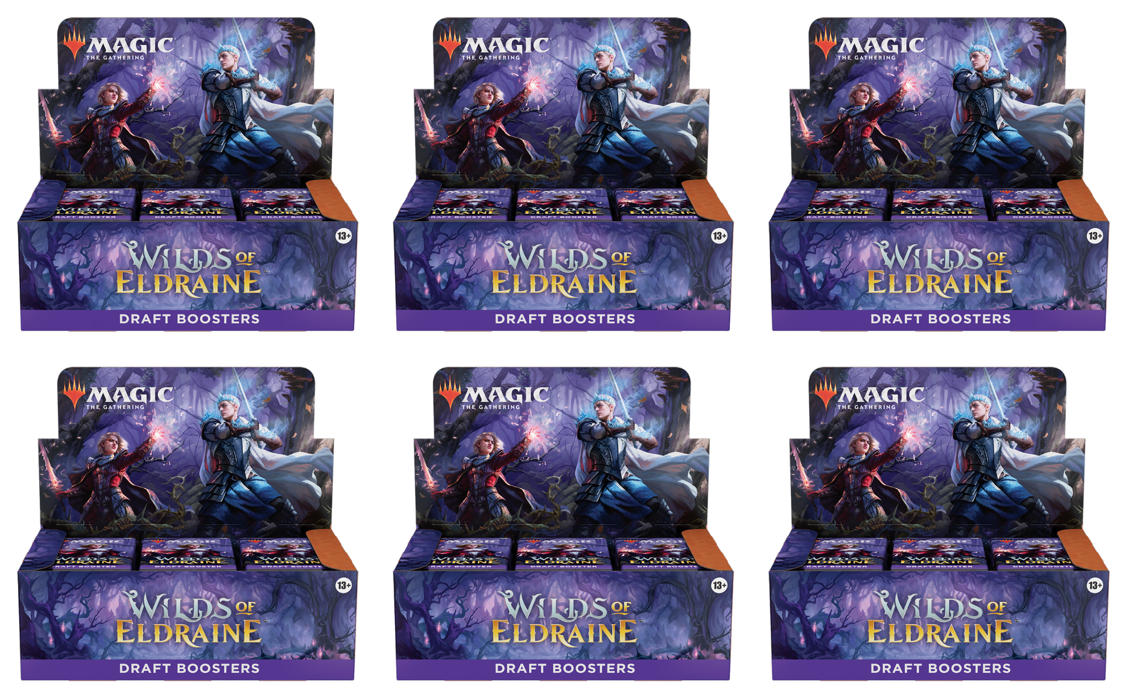 Wilds of Eldraine - Draft Booster Case | Galaxy Games LLC