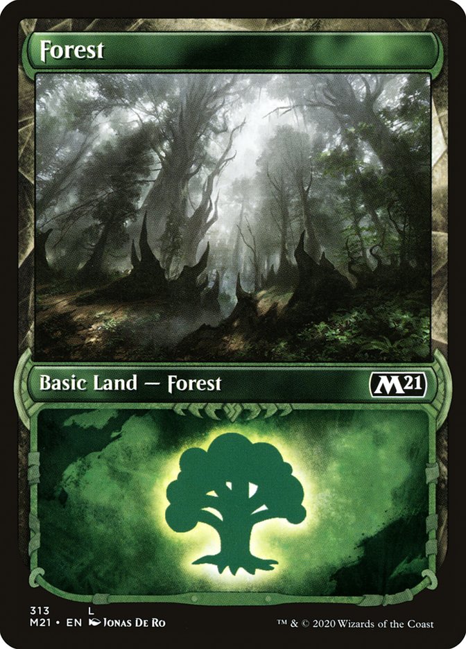 Forest (313) (Showcase) [Core Set 2021] | Galaxy Games LLC