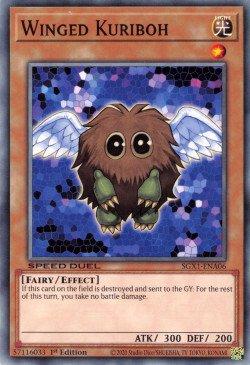 Winged Kuriboh [SGX1-ENA06] Common | Galaxy Games LLC