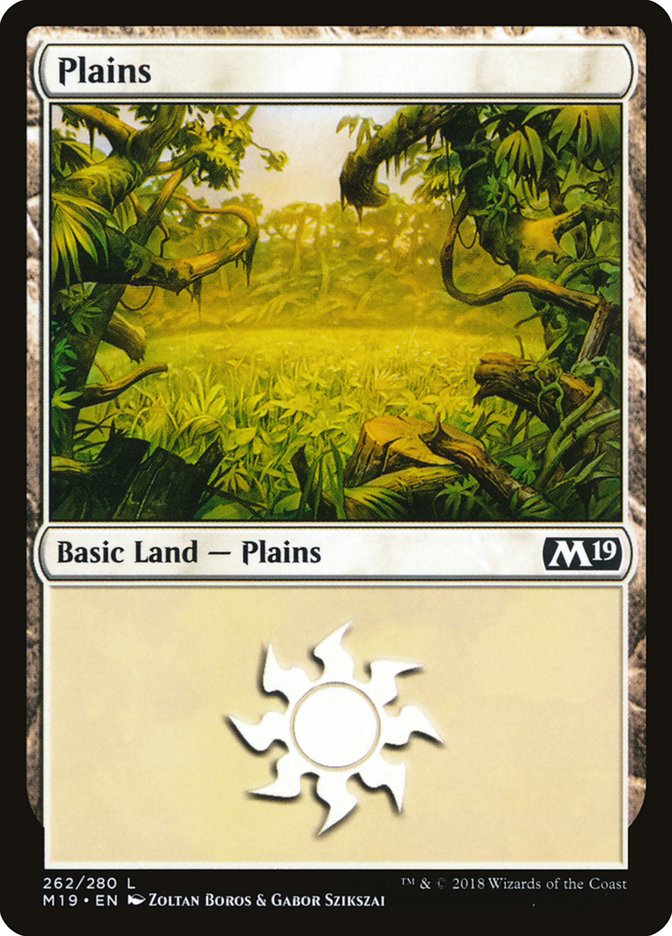 Plains (262) [Core Set 2019] | Galaxy Games LLC