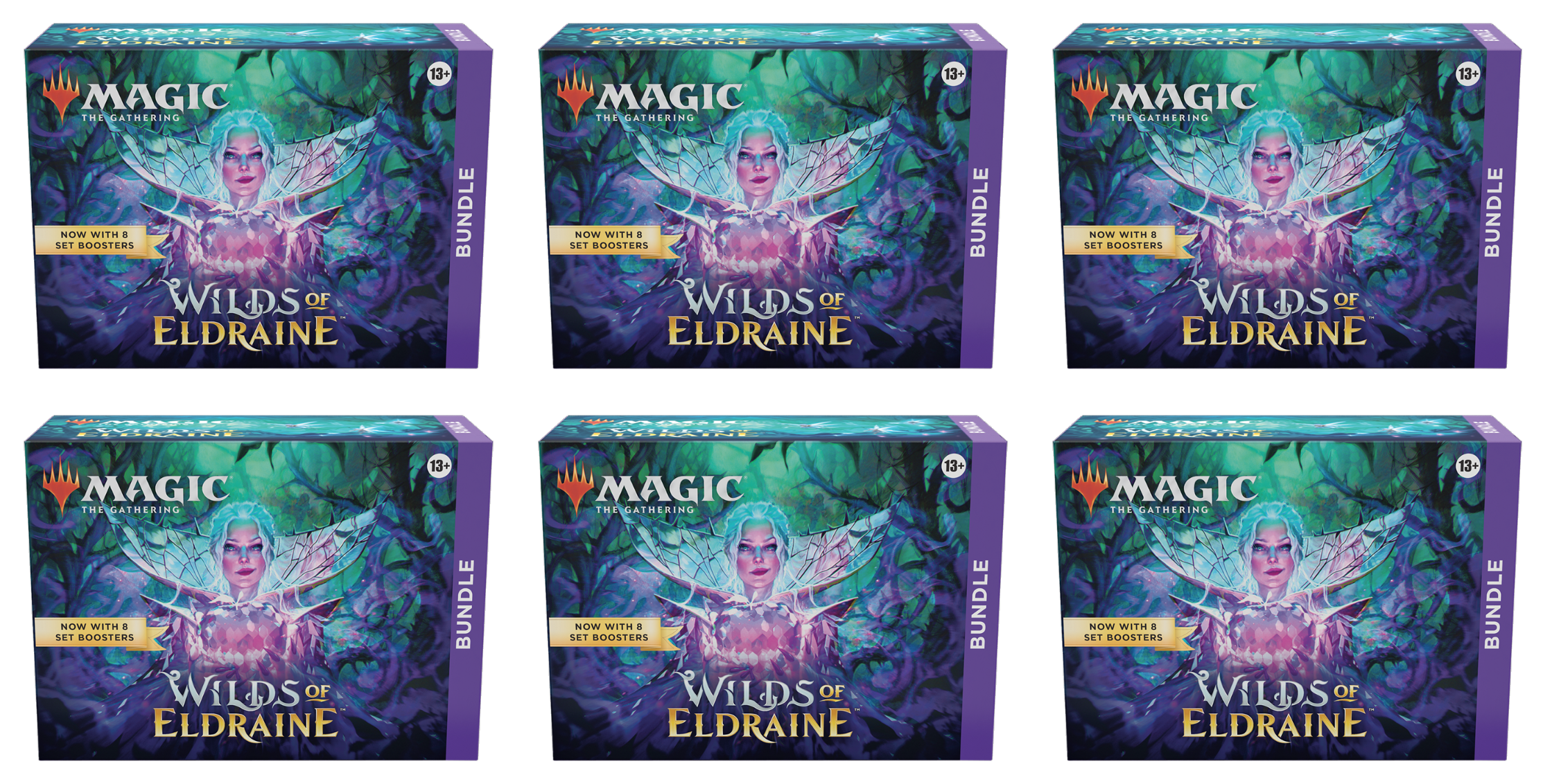 Wilds of Eldraine - Bundle Case | Galaxy Games LLC