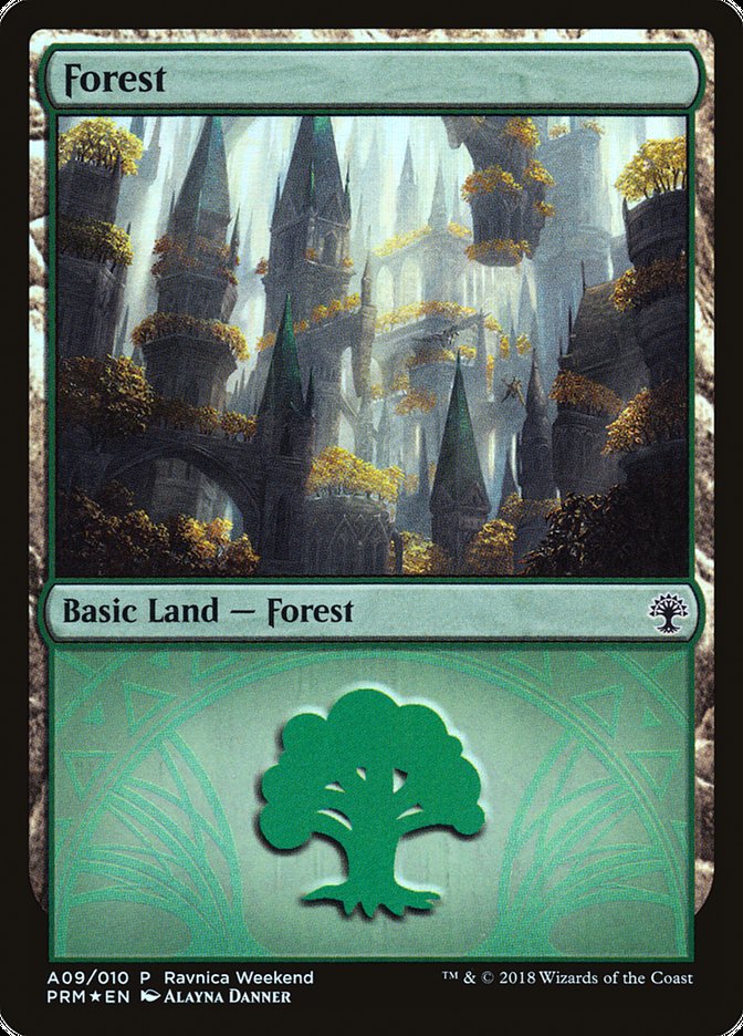 Forest (A09) [Ravnica Allegiance Ravnica Weekend] | Galaxy Games LLC