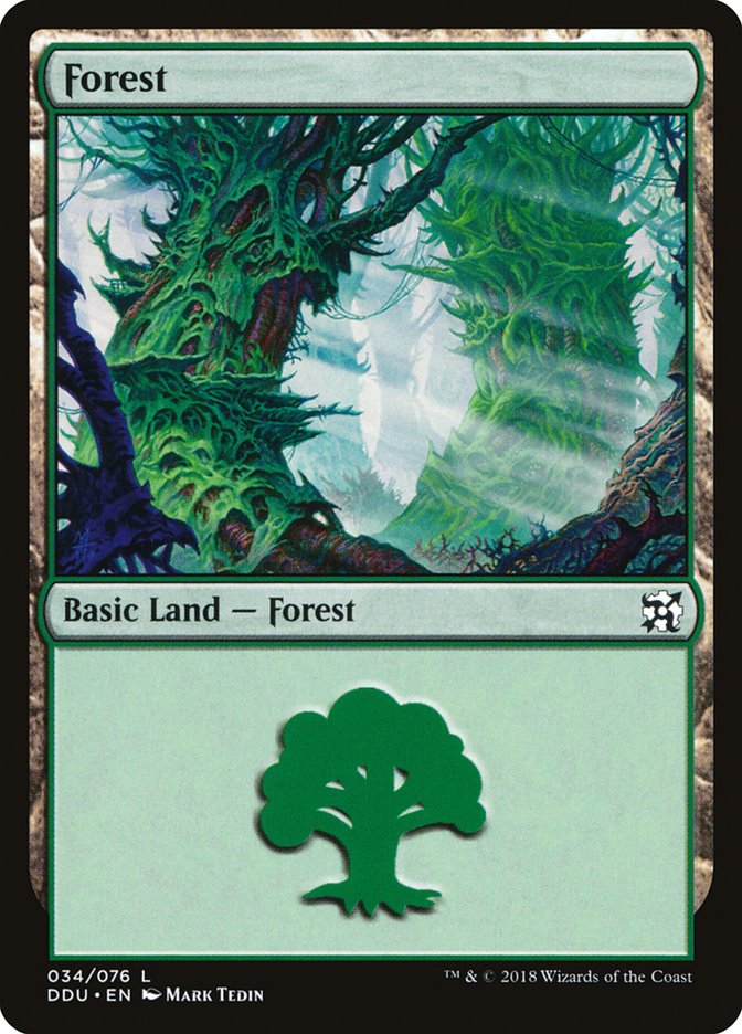 Forest (34) [Duel Decks: Elves vs. Inventors] | Galaxy Games LLC