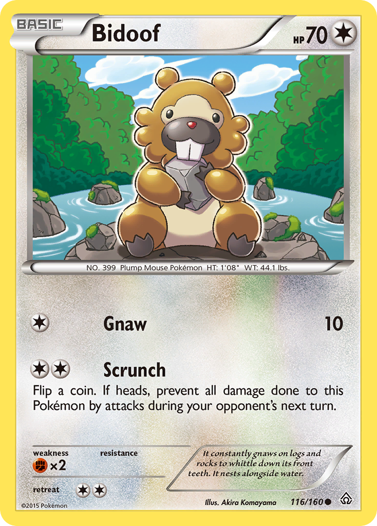 Bidoof (116/160) [XY: Primal Clash] | Galaxy Games LLC